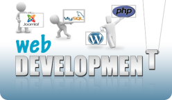 web development company in qatar